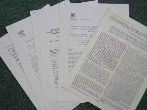 明码标价的学术论文 论文买卖黑色产业链为何猖獗