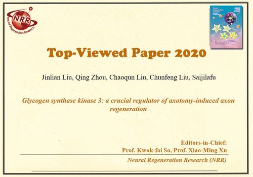 盘点 中国神经再生研究 英文版 杂志2020高点击量论文