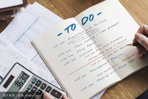 11月的花园城,品红酒,学插花